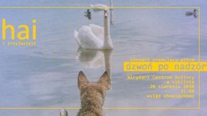 Hai, Szatt i Golden na Centralnym Placu Zabaw