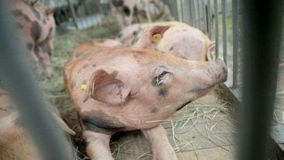 Zdjęcie ilustracyjne