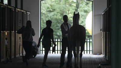 NIK: Kondycja finansowa stadnin coraz gorsza. Oceniają też warunki w hodowli koni w Janowie Podlaskim