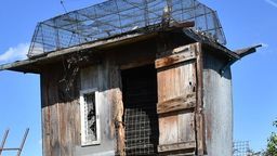 Radzyń Podlaski. Złodziej gołębi zatrzymany. Ukradł 45 ptaków