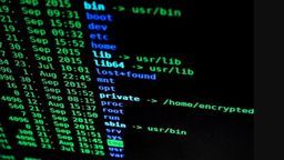 Zdjęcie ilustracyjne