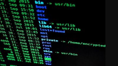 Zdjęcie ilustracyjne