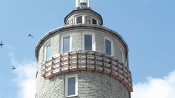 W Łęcznej to jerzyki wyłapią komary. "Chemiczne opryski wykonujemy jedynie punktowo"