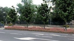 Miejscy aktywiści stają po stronie lubelskiego ratusza w sprawie krzewów i parkingów