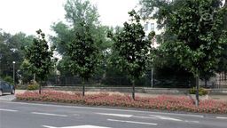 Krakowskie Przedmieście. Urząd chce tu zlikwidować większość miejsc parkingowych. Miejsce samochodów mają zająć rabaty z różami i szpaler 13 lip