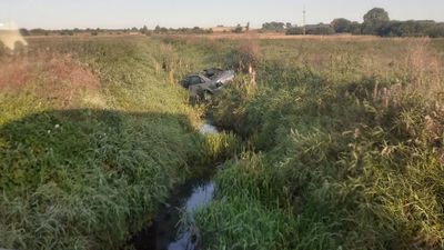 Lubartów. Samochód w rowie z wodą po zderzeniu z łosiem