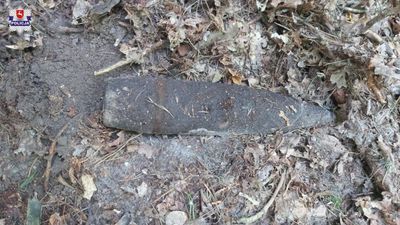 Radzyń Podlaski. Poszedł na grzyby, a trzeba było wezwać saperów