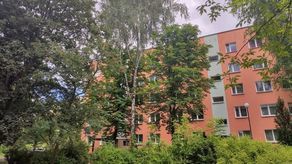 Jest decyzja w sprawie wycinki drzew na Czechowie