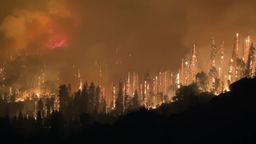 15 tys. strażaków walczy z pożarami lasów w Kalifornii. Akcję utrudniają rekordowe upały