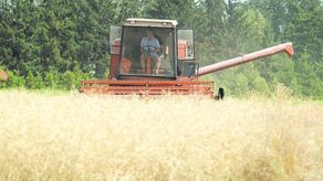 Podczas spisu trzeba będzie podać informacje m.in. o areale gospodarstwa i rodzaju produkcji