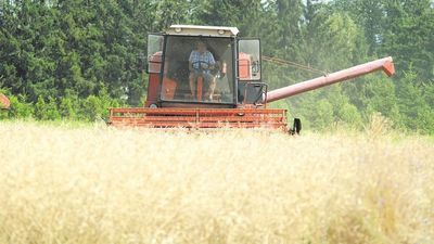 Podczas spisu trzeba będzie podać informacje m.in. o areale gospodarstwa i rodzaju produkcji