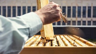 zdjęcie ilustracyjne  