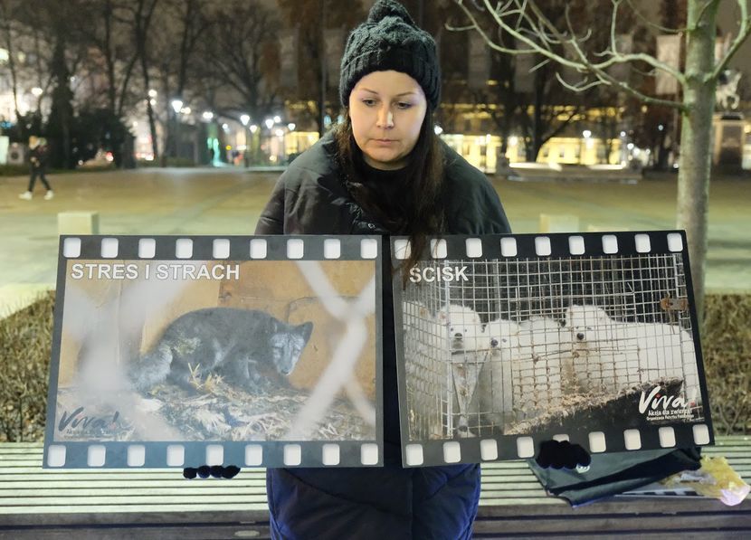 Ubiegłoroczny protest w Lublinie przeciwko hodowli zwierząt futerkowych