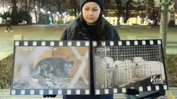 Ubiegłoroczny protest w Lublinie przeciwko hodowli zwierząt futerkowych