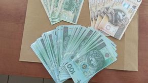 Przez lata okradał krewnych, a ci nie mieli o tym pojęcia. Złodziej sprytnie się maskował