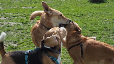 Zdjęcie ilustracyjne