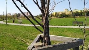 Nowy park w Lublinie marnieje. Uschła już około setka drzew