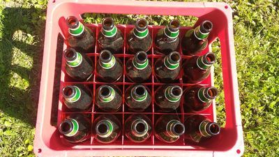 Kradł nocą wybijając szyby w ogrodowych domkach i niszcząc wyposażenie wnętrz, gdy usiłował dostać się do środka altanki. 