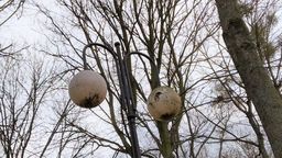 Stare latarnie uliczne mają w Chełmie już swoje lata