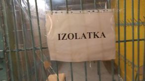 W tym tygodniu internautów zbulwersowało zdjęcie jednej ze szkolnych izolatek i nie jest to w SP nr 10