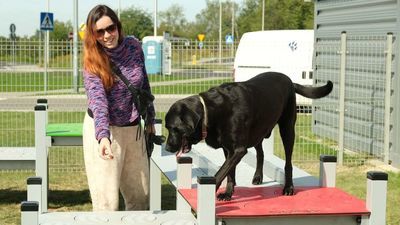 Tunele i labirynt. Takiego placu zabaw dla psów w Lublinie jeszcze nie było