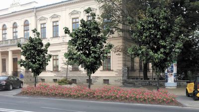 Lublin: Róże kontra auta. Nie każdy chce krzewów na Krakowskim Przedmieściu 