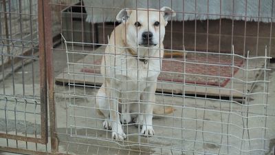 Zdjęcie ilustracyjne