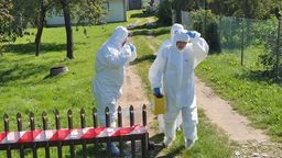 Wicewojewoda lubelski Robert Gmitruczuk i zastępca głównego lekarza weterynarii Mirosław Welz wizytują gminę Obsza (powiat biłgorajski)