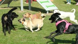 Zdjęcie ilustracyjne