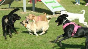 Zdjęcie ilustracyjne