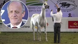 Lucjan Cichosz został nowym prezesem stadniny w Janowie Podlaskim