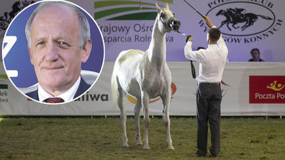 Lucjan Cichosz został nowym prezesem stadniny w Janowie Podlaskim