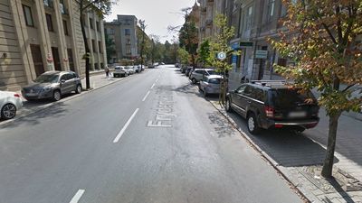 Więcej zieleni w Lublinie. Zamiast miejsc parkingowych będą krzewy i drzewa