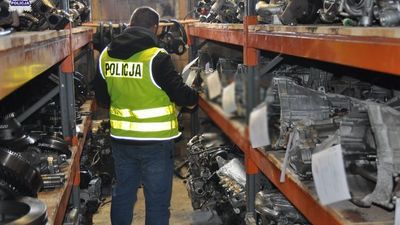 240 skrzyń biegów i 160 silników jak w sklepie. „Dziupla samochodowa” koło Radzynia Podlaskiego [wideo]