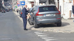 Prezydent Lublina przyłapany przez internautów: Przyjmuję mandat, niezwłocznie go opłacę