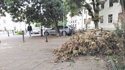 Gałęzie jeszcze zalegają na ulicach Lublina. Po burzy z 9 sierpnia