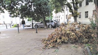 Gałęzie jeszcze zalegają na ulicach Lublina. Po burzy z 9 sierpnia