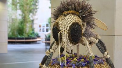 Pszczoła - wieniec dożynkowy