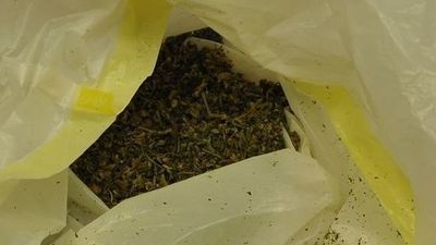 Łęczna: Niespodzianka w lodówce