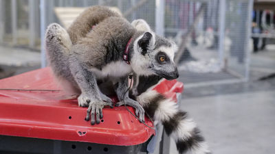 Zdjęcie ilustracyjne