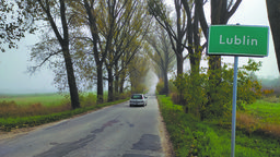 Radny Lublina ma pomysł na zwiększenie bezpieczeństwa: wyciąć topole