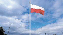 Tak swój masz wyobrażają sobie społecznicy z Radzynia Podlaskiego