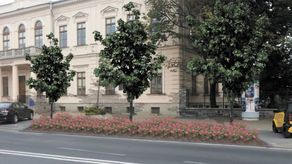 Tak według pierwotnej koncepcji miałyby wyglądać rabaty urządzone kosztem miejsc parkingowych znajdujących się na chodniku