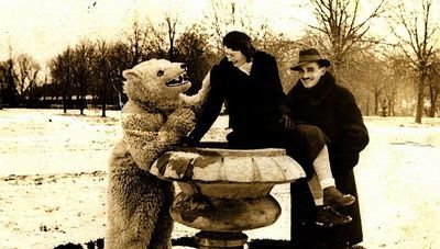 Biały miś z Zamościa. Jedno z wielu zdjęć dawnej atrakcji parku i zoo