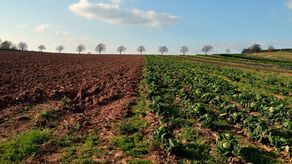 W województwie lubelskim spisem objętych jest ponad 190 tys. gospodarstw