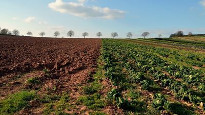 W województwie lubelskim spisem objętych jest ponad 190 tys. gospodarstw
