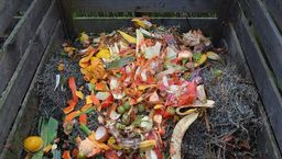 Lublin wprowadza zmiany. Kompostujesz? Płacisz mniej za śmieci