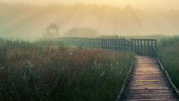 "Kierunek lubelskie krajobrazy". Oto najpiękniejsze zdjęcia i laureaci
