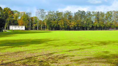 Łęczna: Trawa już rośnie. Na 5 hektarach terenu widowiskowego będą imprezy