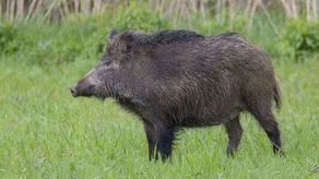 Zdjęcie ilustracyjne